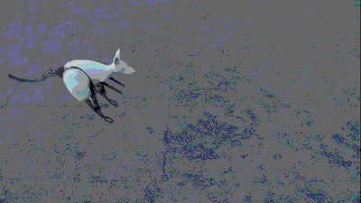 仿生袋鼠 仿生袋鼠